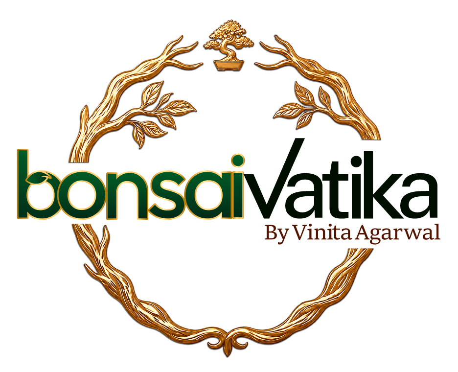 Bonai Vatika